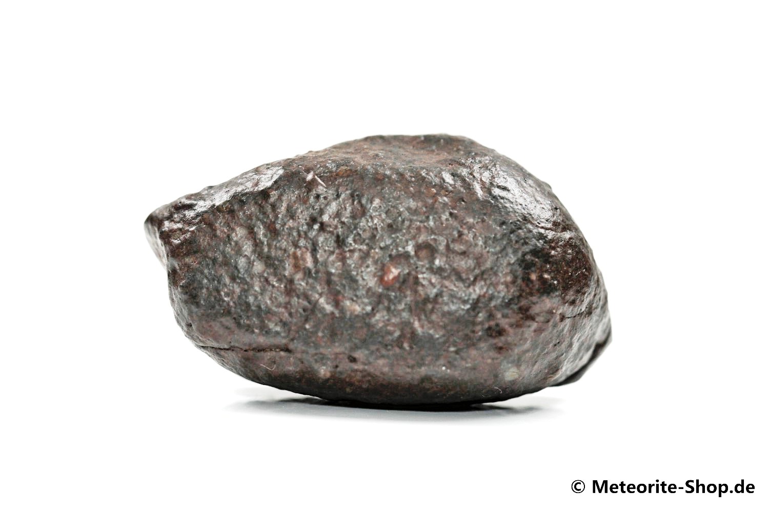 NWA Erfoud Meteorit - 36,60 g