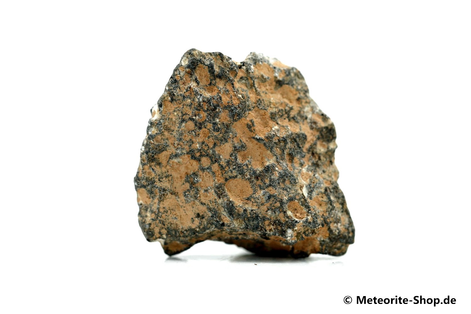 NWA 11407 Mond Meteorit - 4,851 g