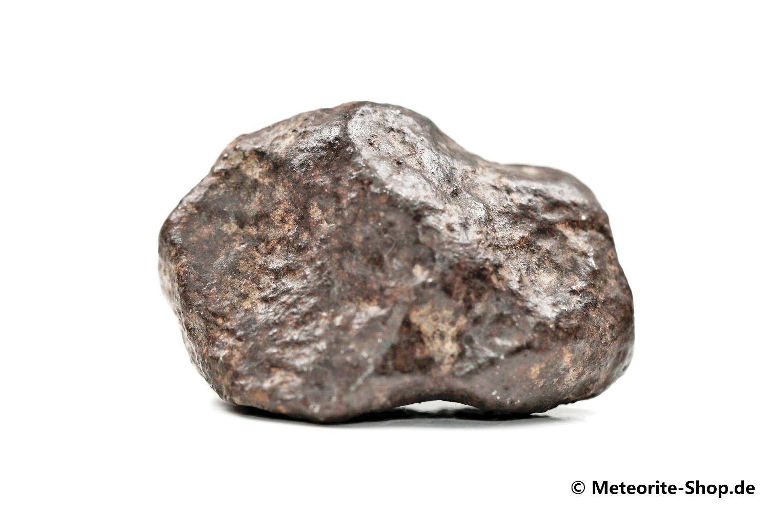 NWA Casablanca Meteorit - 32,50 g