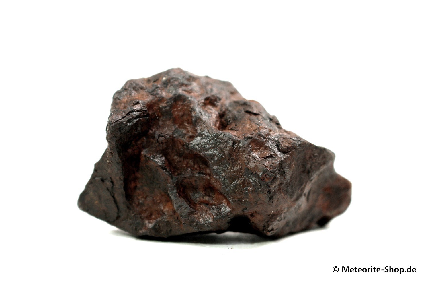 Canyon Diablo Meteorit - 214,30 g
