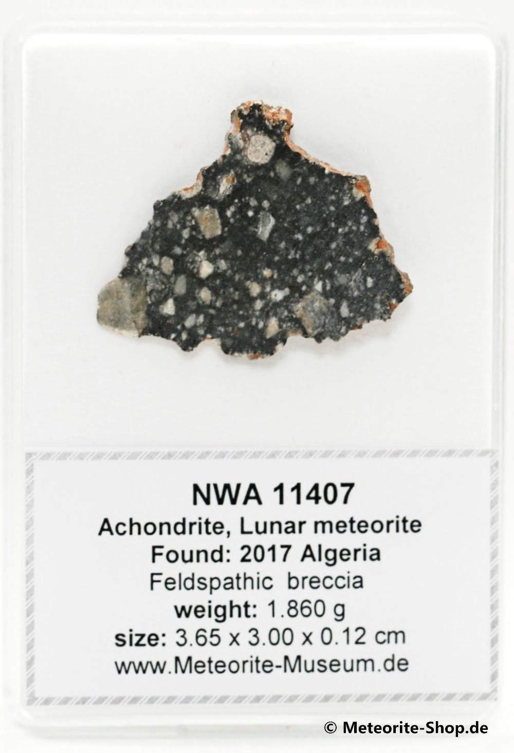 NWA 11407 Mond Meteorit - 1,860 g