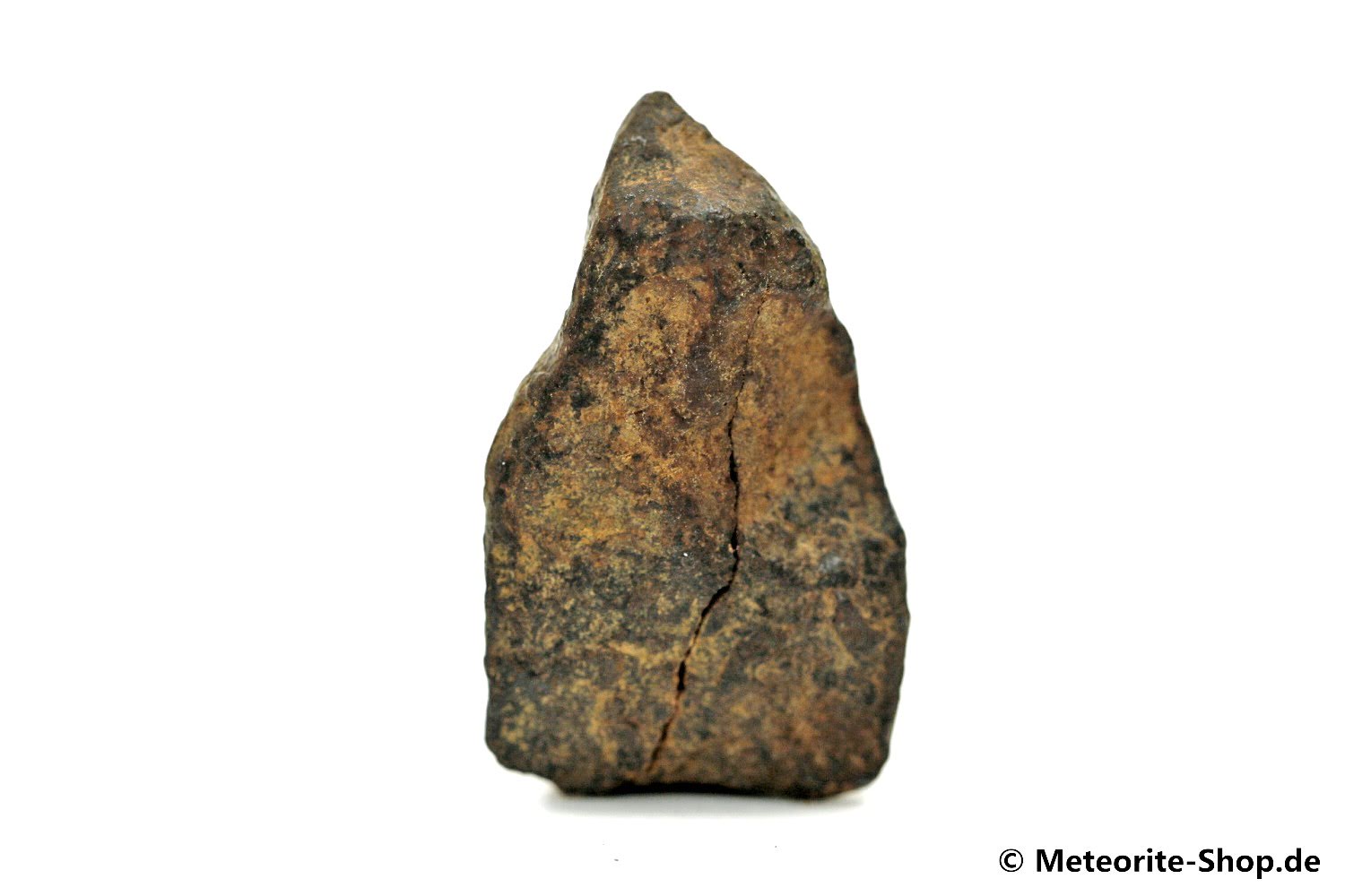 NWA 859 Meteorit - 11,00 g