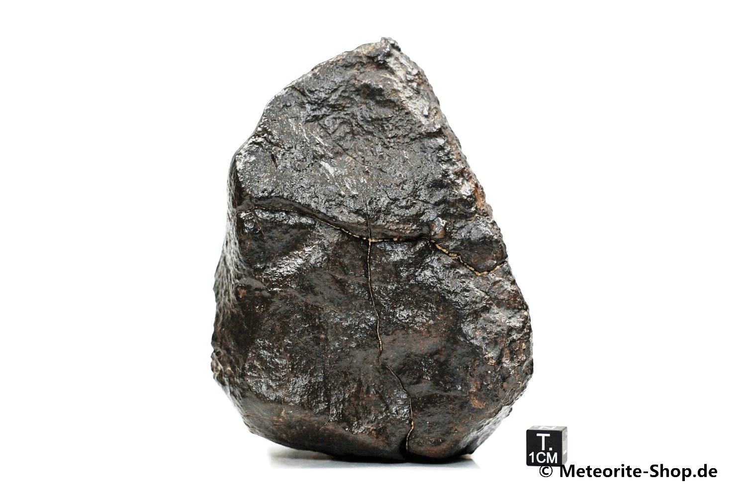 NWA Sahara Meteorit - 1.113,90 g