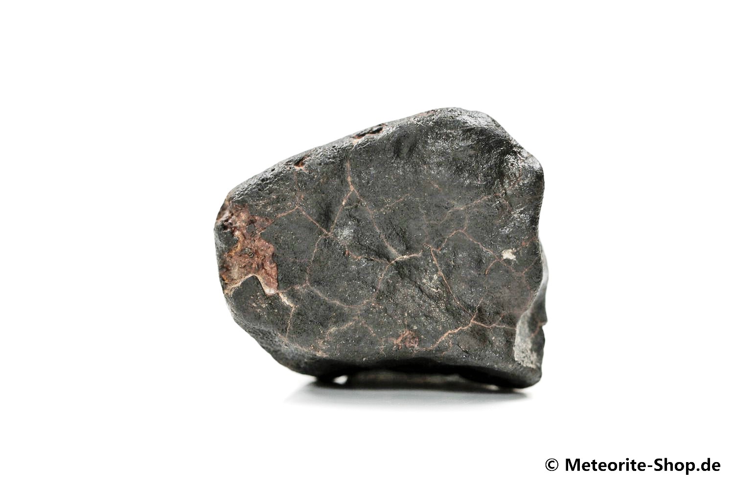 NWA Zagora Meteorit - 22,00 g