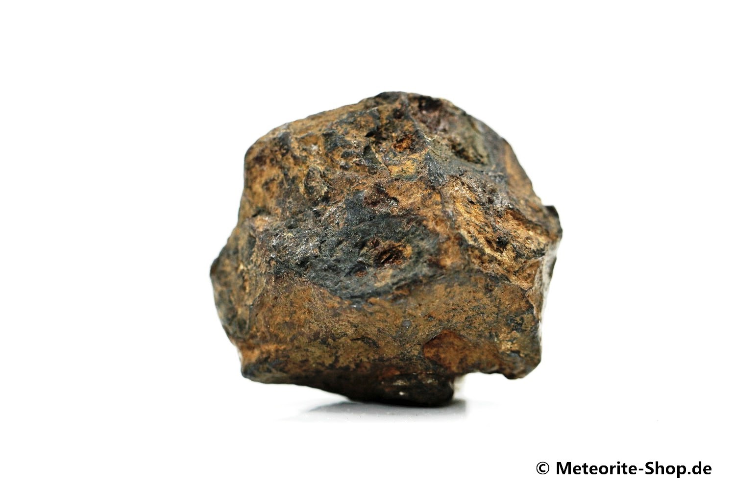 Agoudal Meteorit - 37,80 g