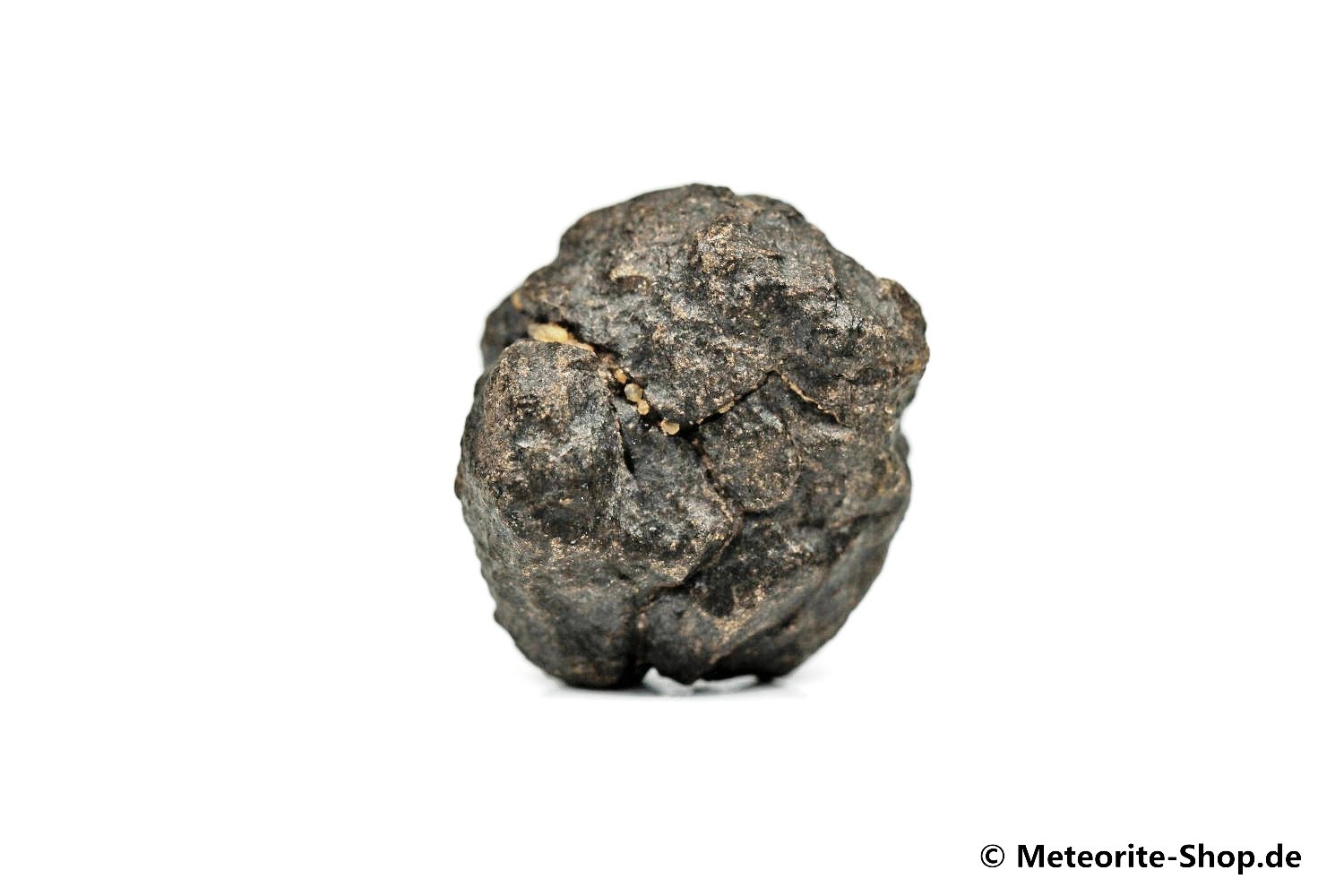 NWA Casablanca Meteorit - 13,90 g