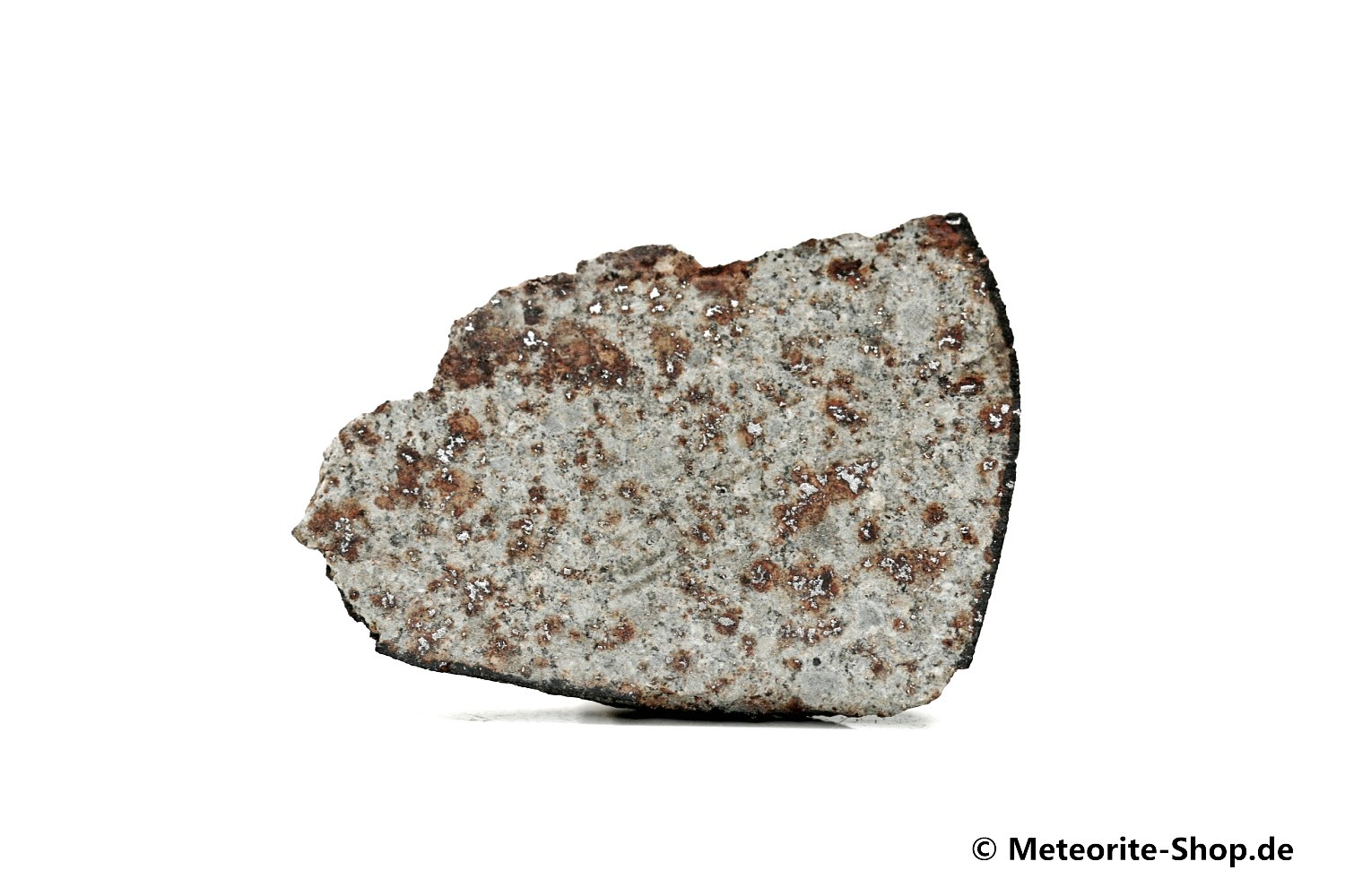 HaH 346 Meteorit GHADAMIS - 9,00 g