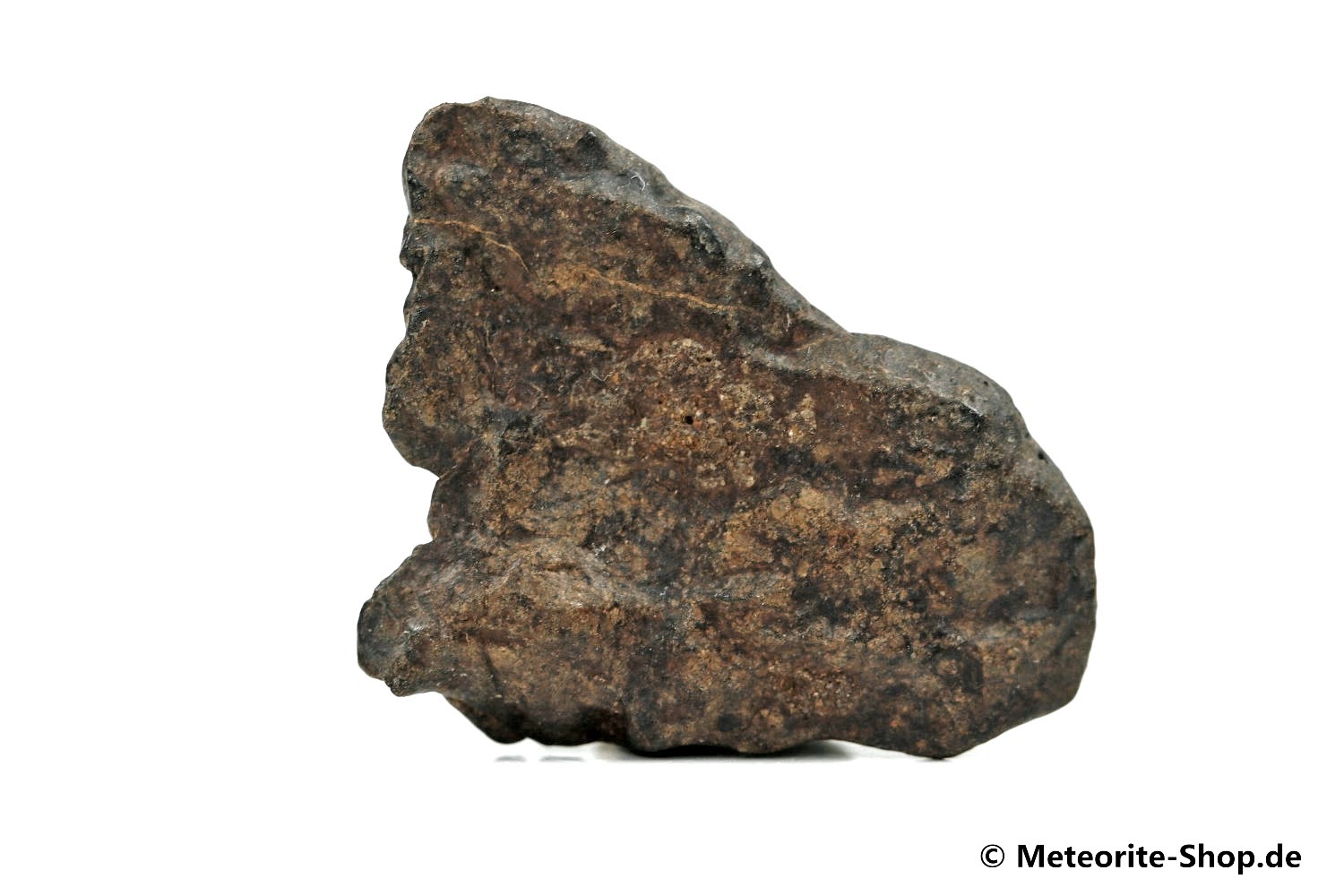 NWA Tagounite Meteorit - 8,60 g