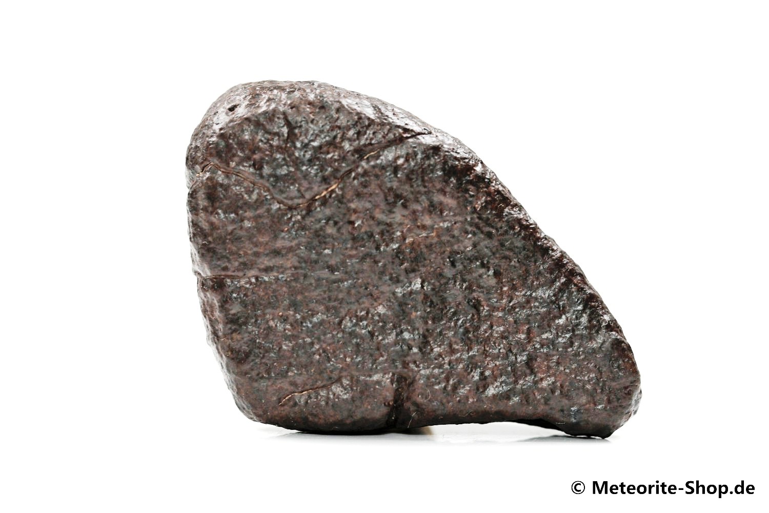 NWA Zagora Meteorit - 58,00 g