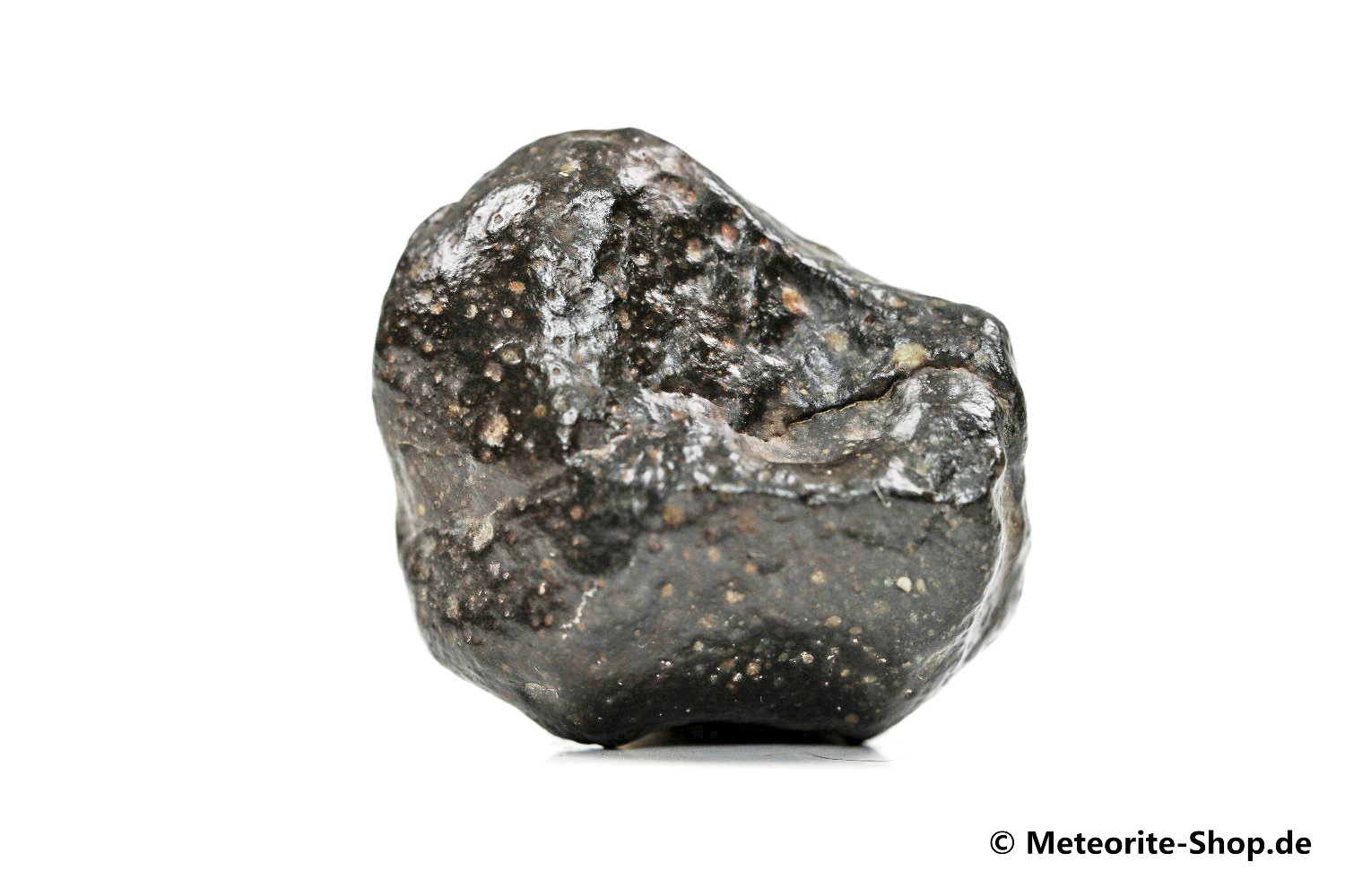 Tanezrouft 092 Meteorit - 19,00 g