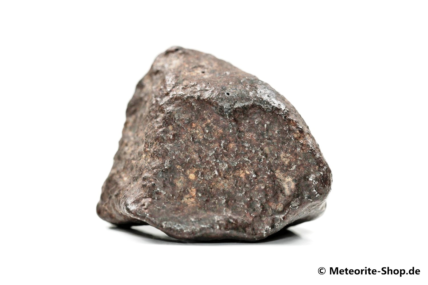 NWA Casablanca Meteorit - 43,70 g