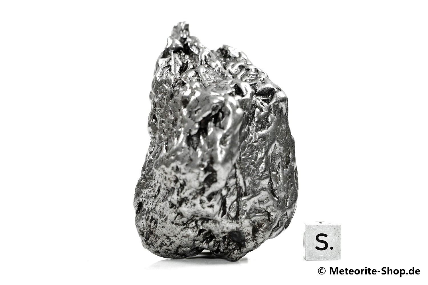Campo del Cielo Meteorit - 306,20 g