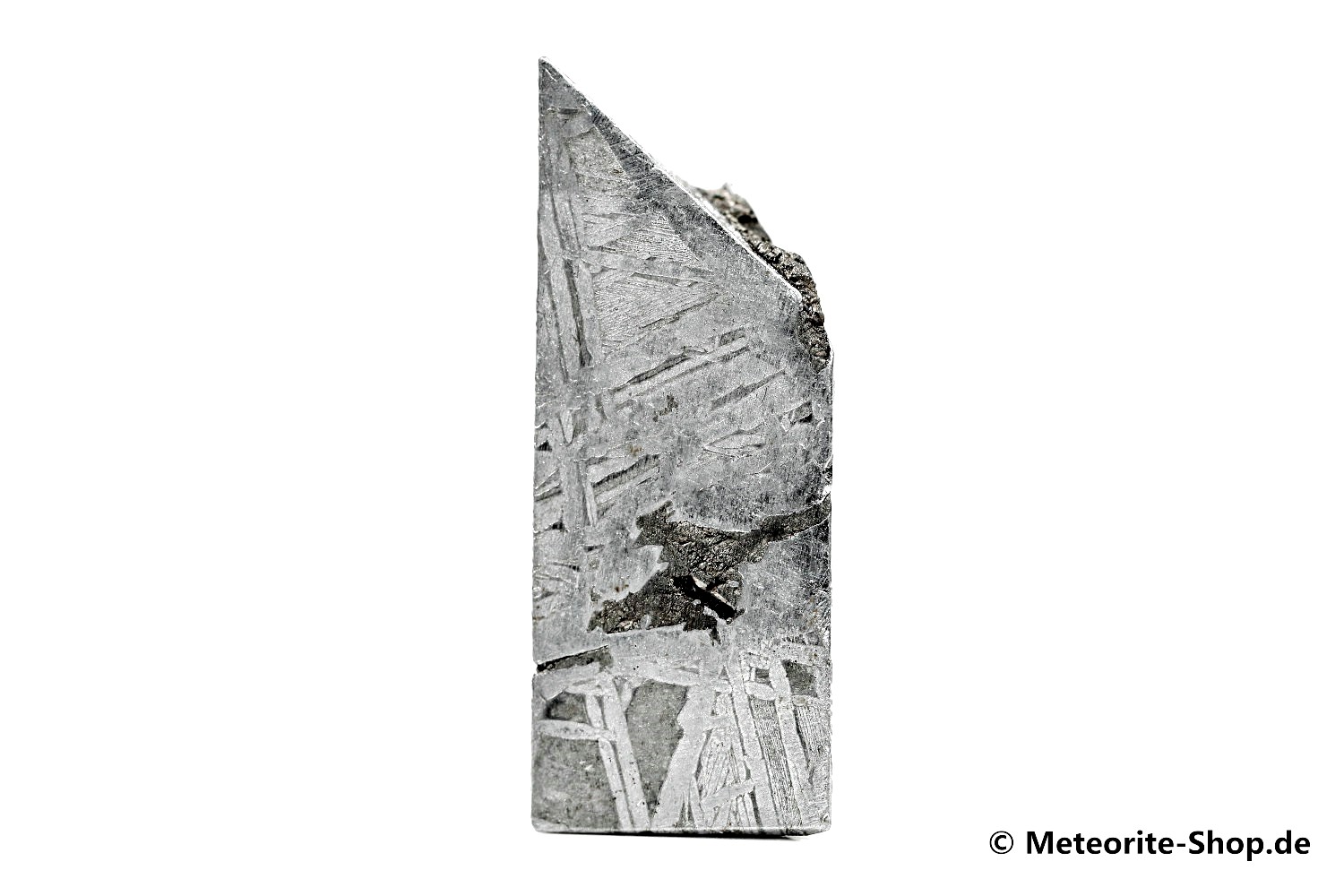 Aletai Meteorit - 30,50 g