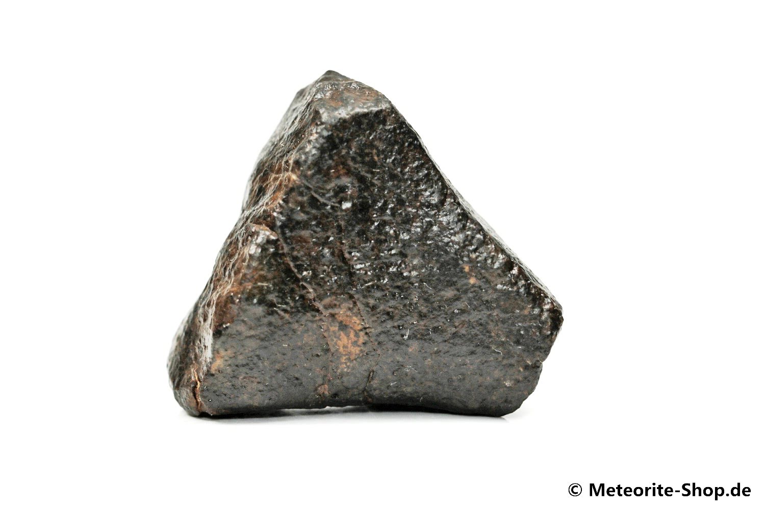 NWA Erfoud Meteorit - 47,10 g
