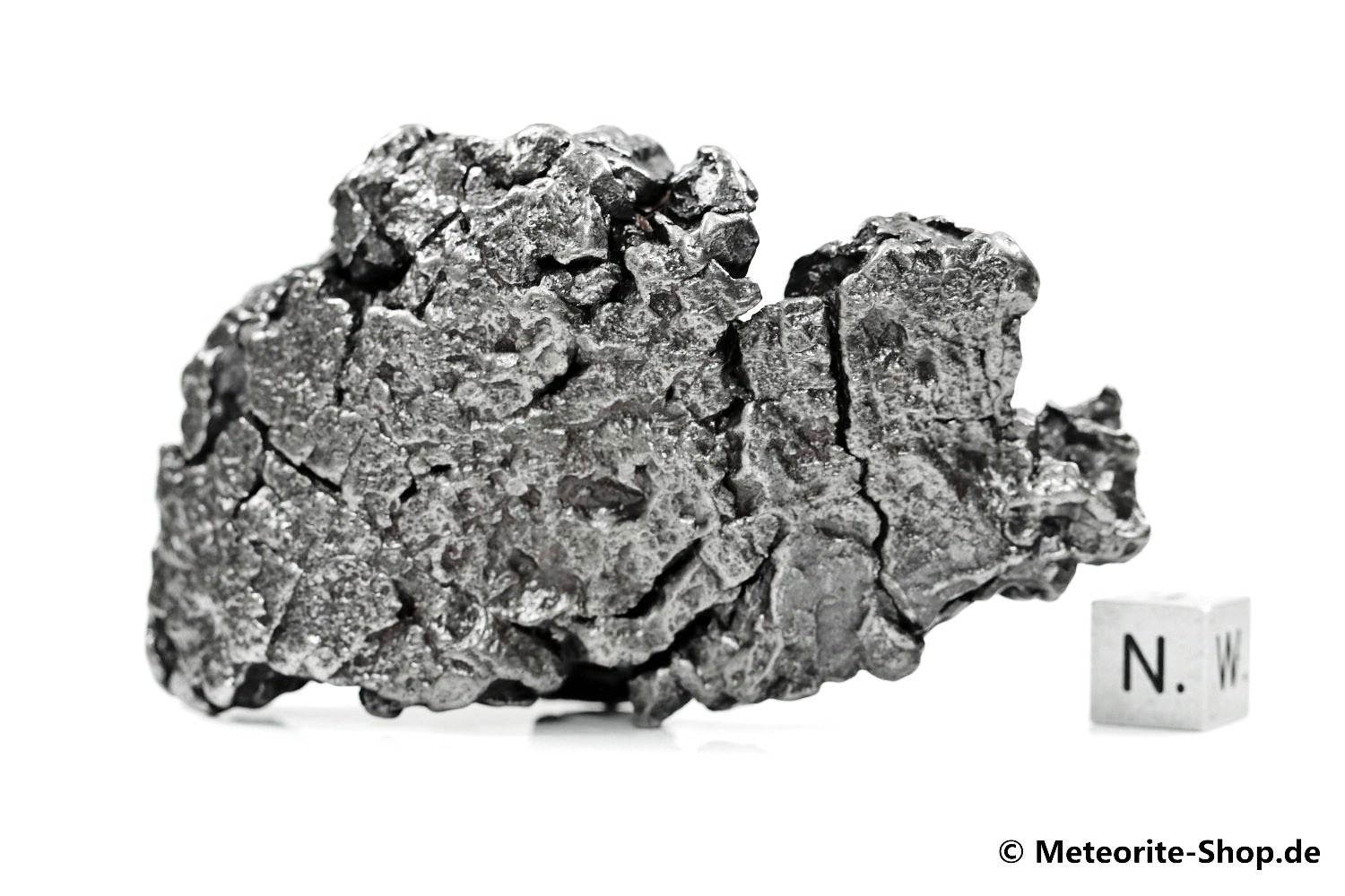 Campo del Cielo Meteorit - 252,60 g
