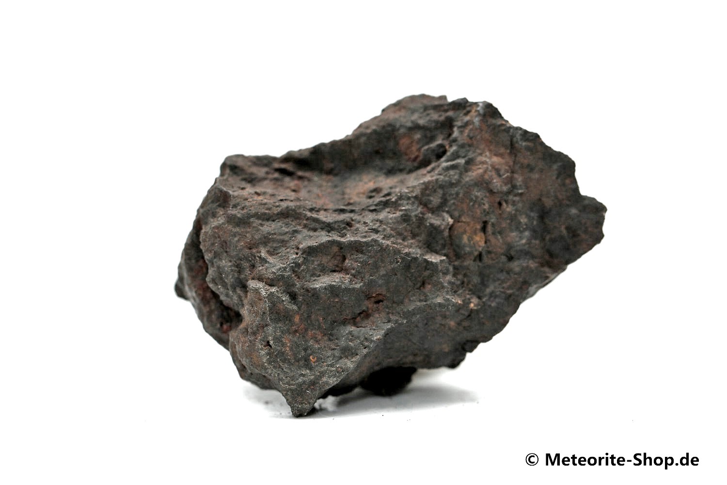 Vaca Muerta Meteorit - 17,00 g