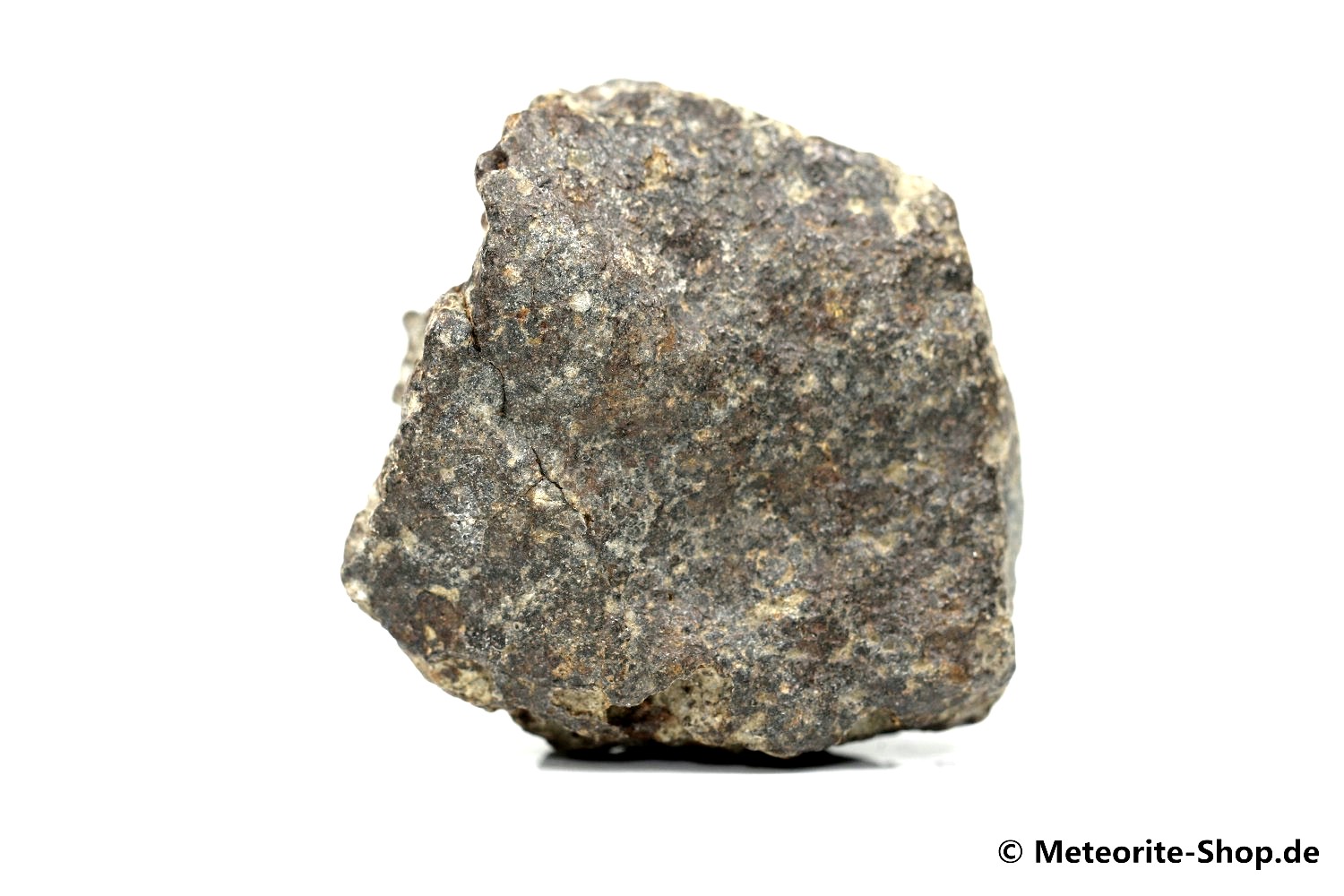 NWA 869 Meteorit - 95,30 g