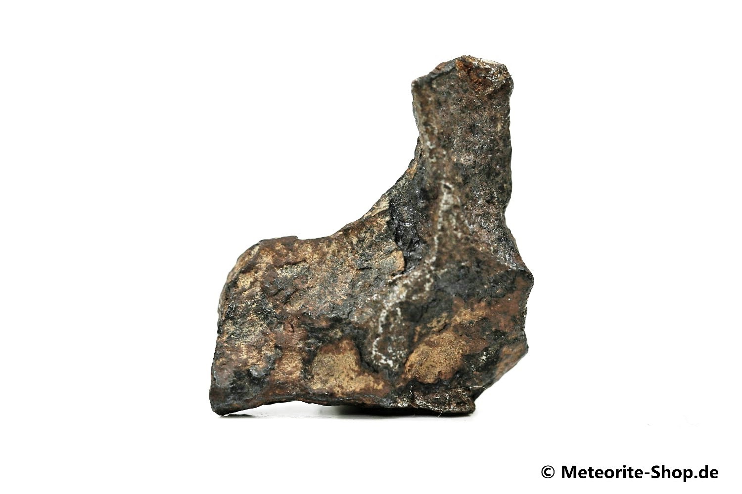 NWA 859 Meteorit - 8,80 g