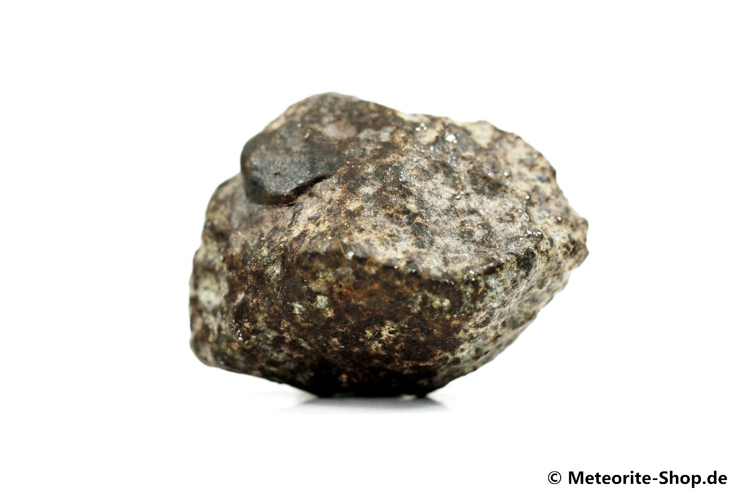 NWA Smara Meteorit - 16,60 g