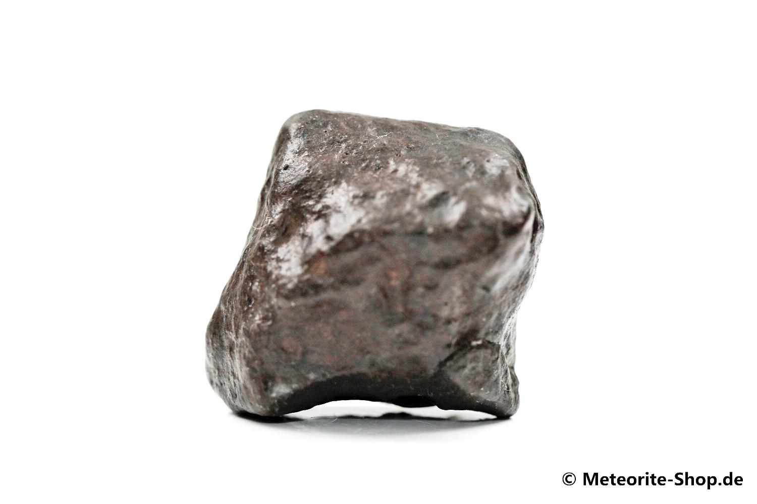 NWA Erfoud Meteorit - 31,90 g