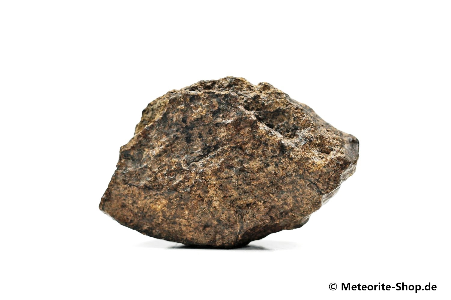 NWA Rissani Meteorit - 35,90 g