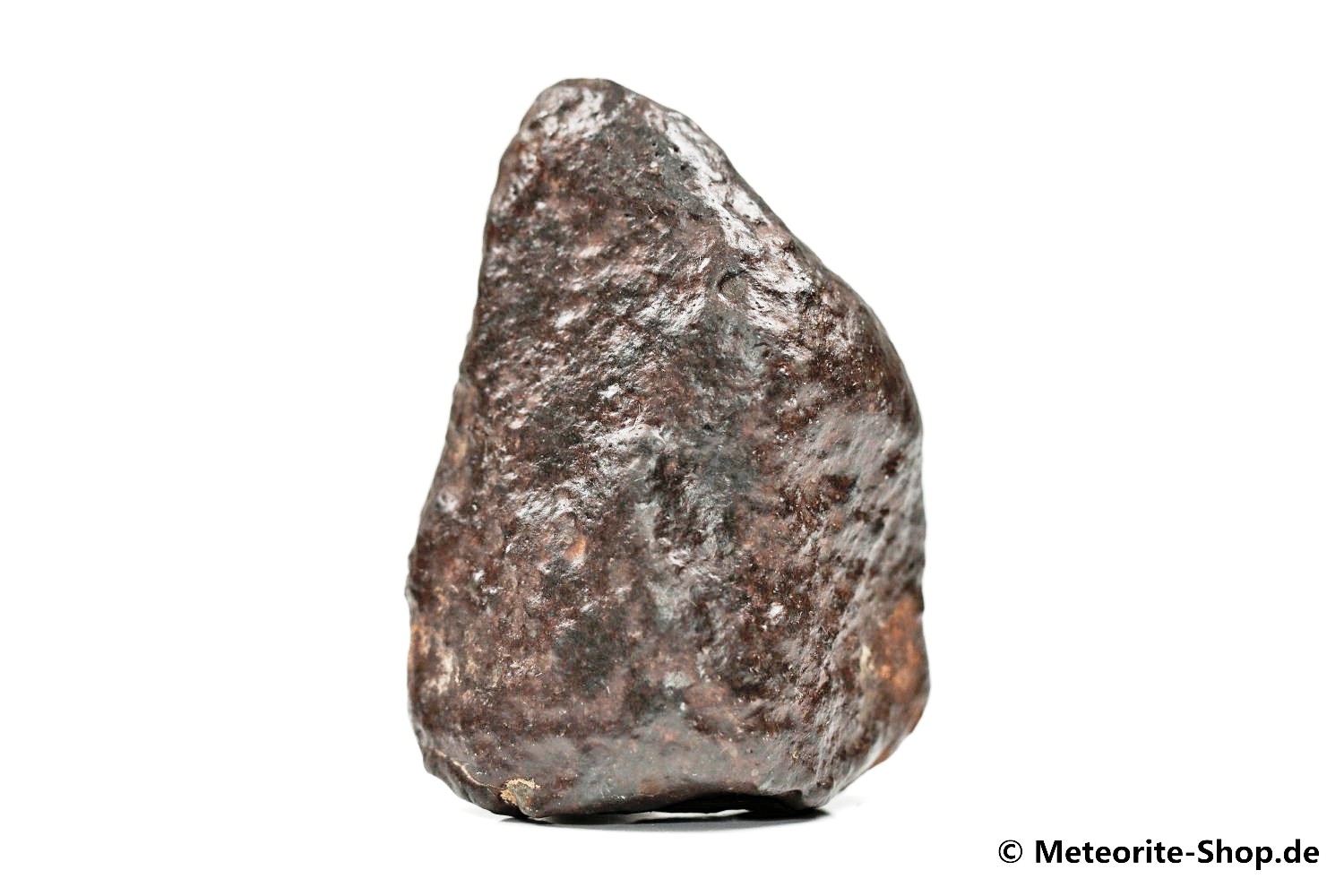 NWA Sahara Meteorit - 84,50 g