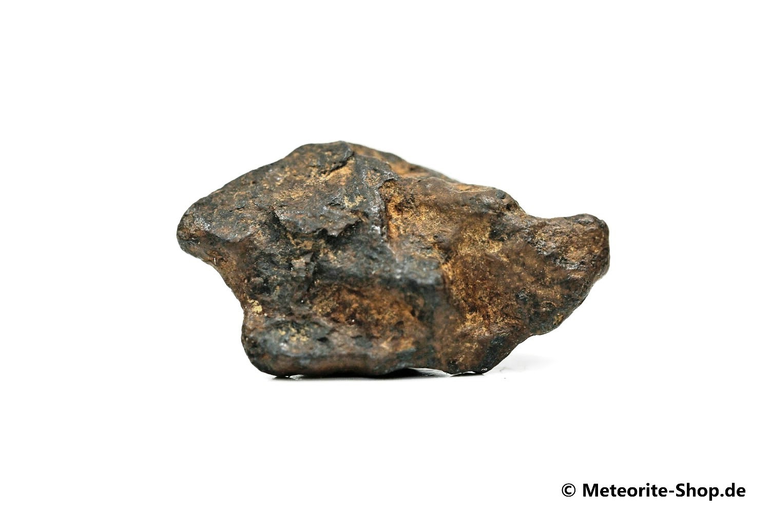 NWA 859 Meteorit - 11,80 g