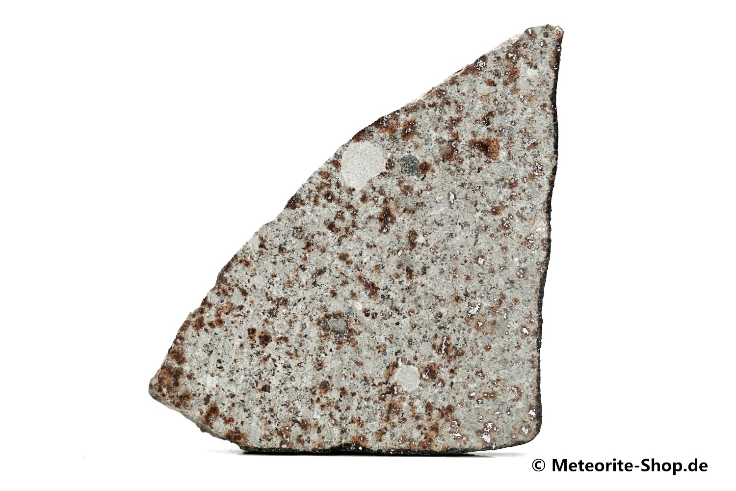HaH 346 Meteorit GHADAMIS - 13,50 g