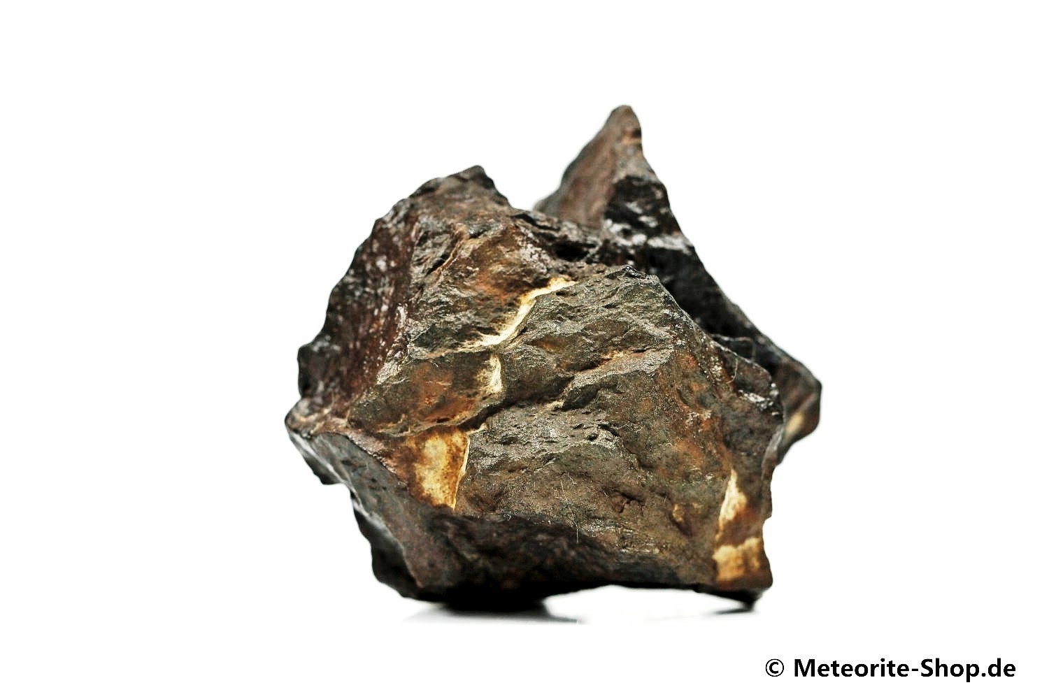 NWA Ouarzazate Meteorit - 48,70 g