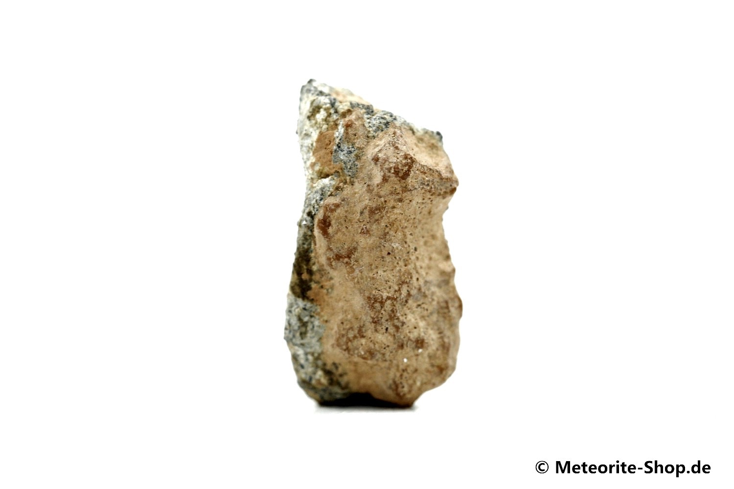 NWA 11407 Mond Meteorit - 1,262 g -