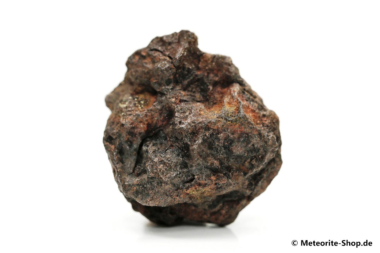 Vaca Muerta Meteorit - 17,80 g