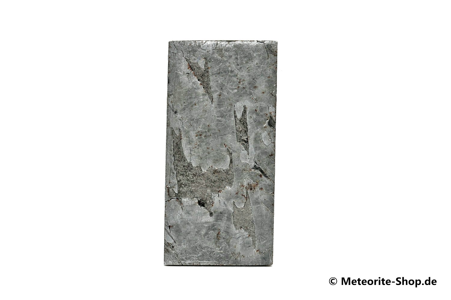 Aletai Meteorit - 12,30 g