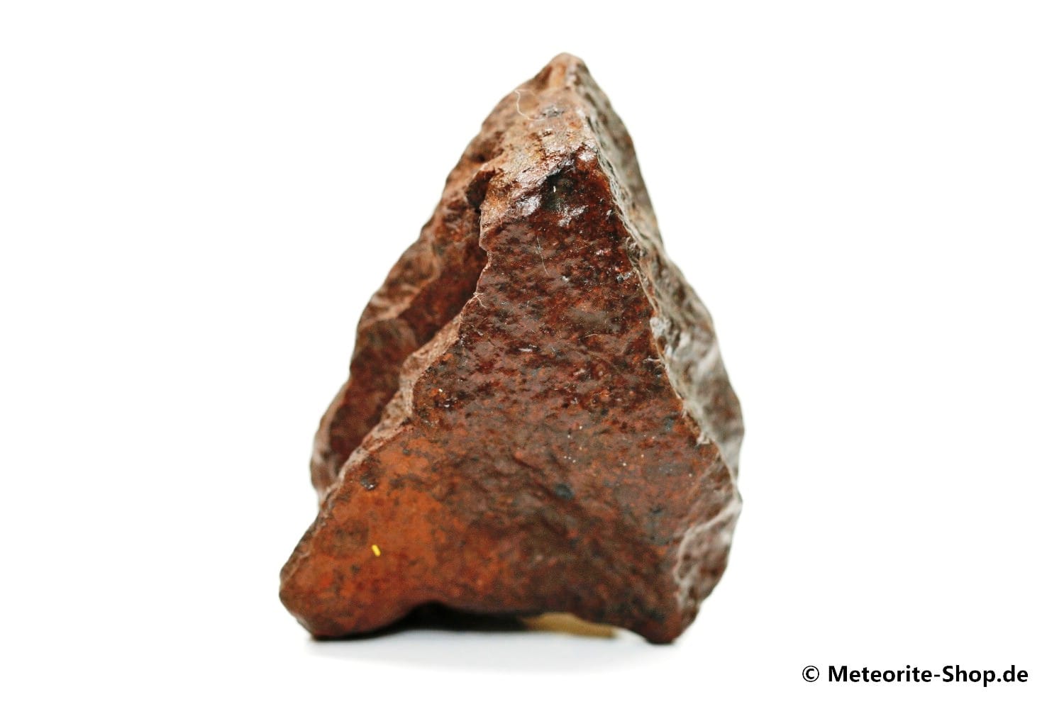 NWA Westsahara Meteorit - 65,30 g