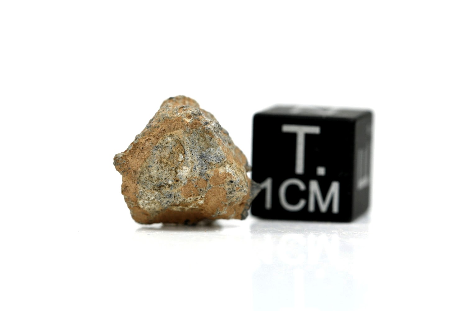 NWA 11407 Mond Meteorit - 1,188 g