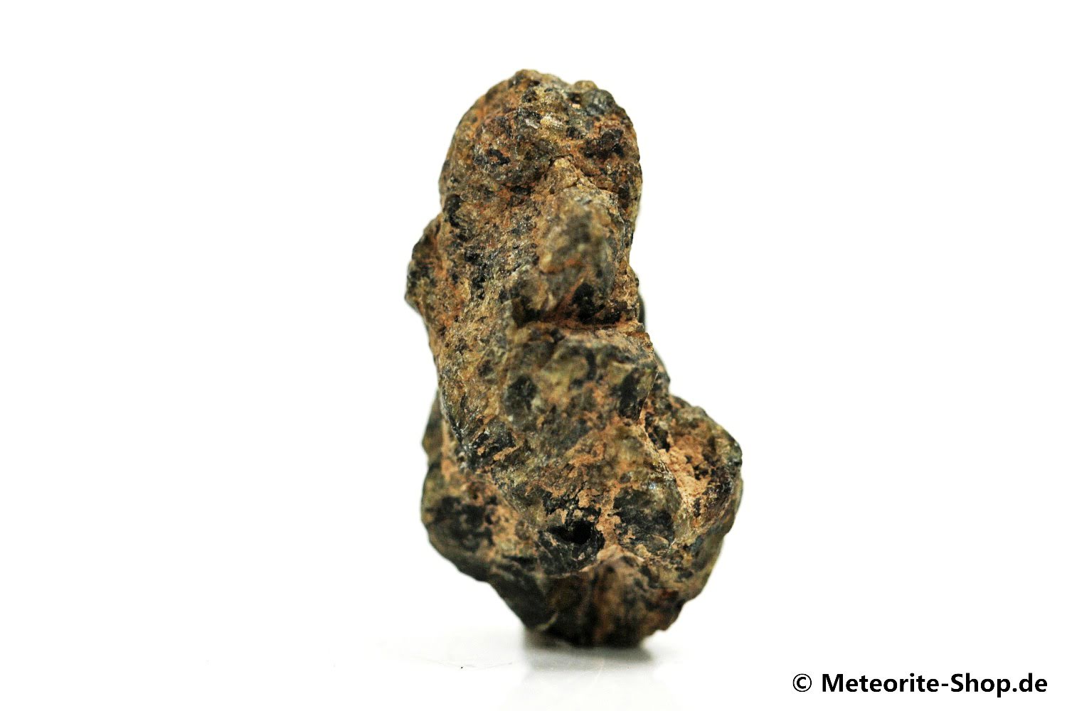 NWA 7831 Meteorit - 1,85 g