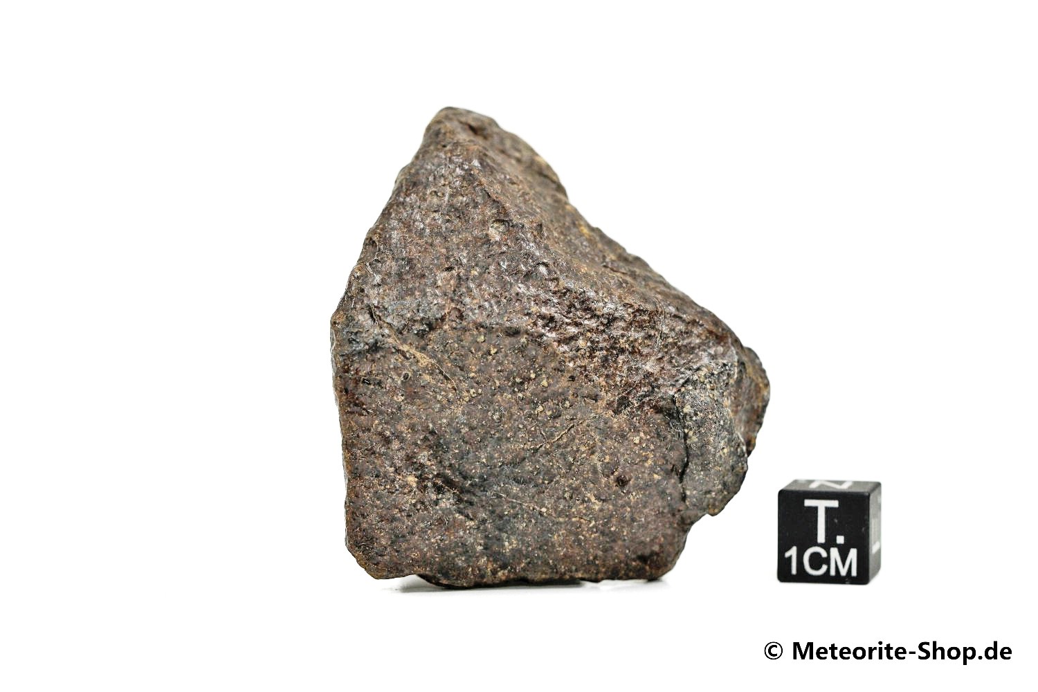 NWA Westsahara Meteorit - 89,20 g
