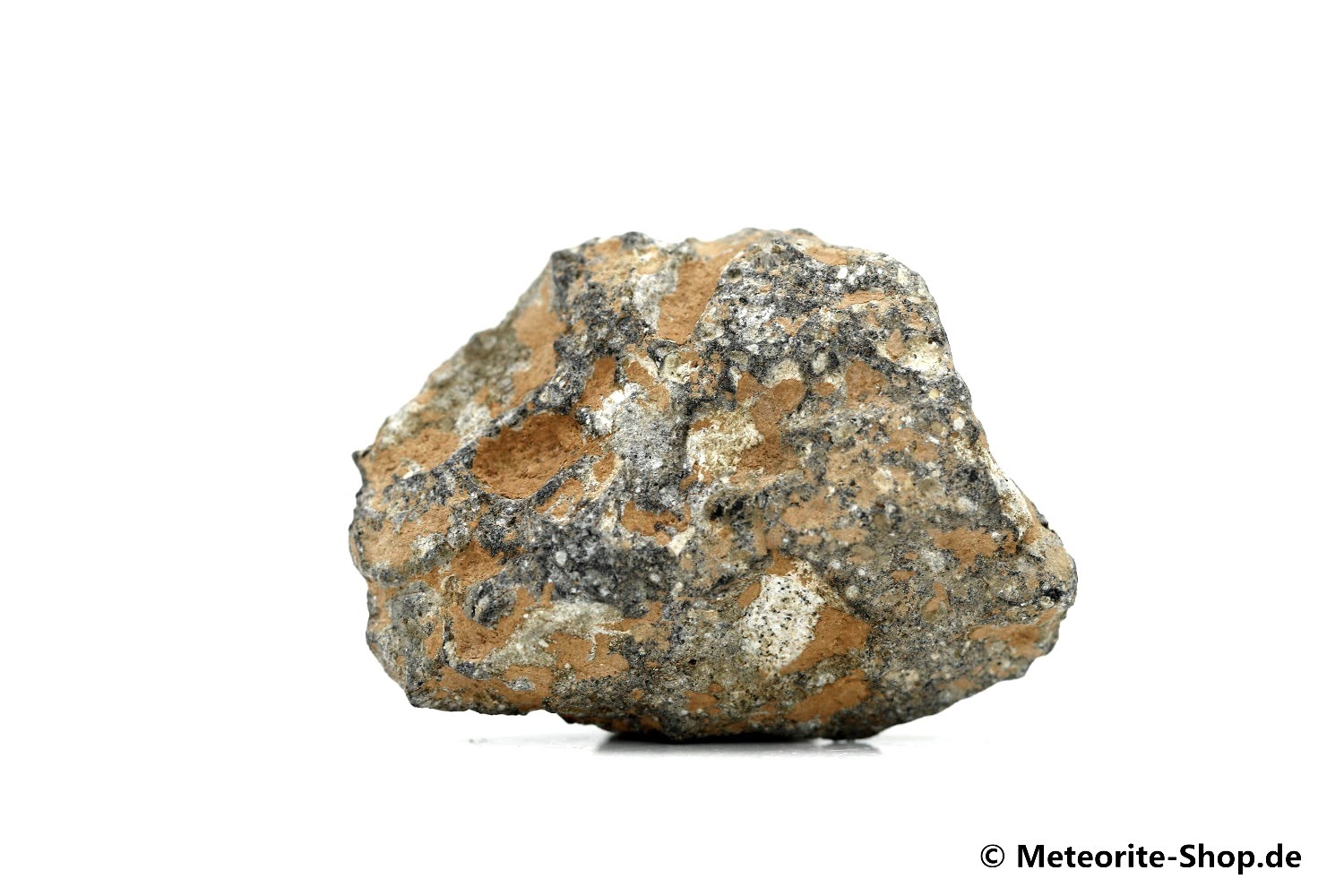 NWA 11407 Mond Meteorit - 9,867 g