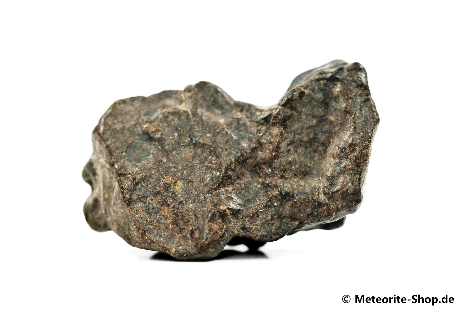NWA Zagora Meteorit - 12,20 g