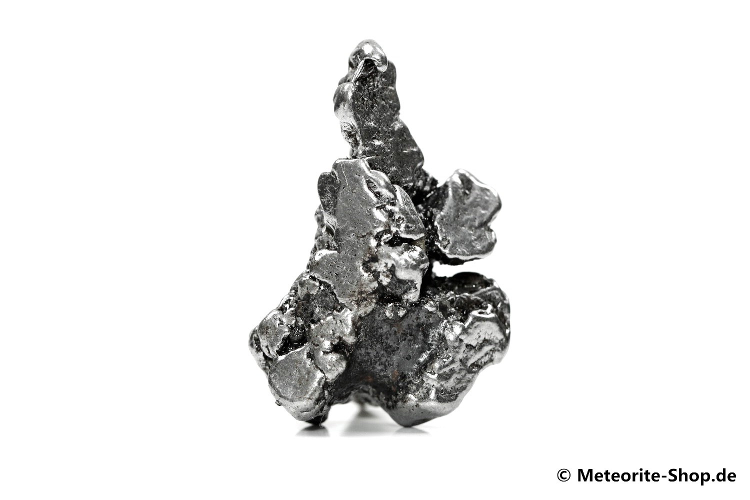 Campo del Cielo Meteorit - 25,40 g