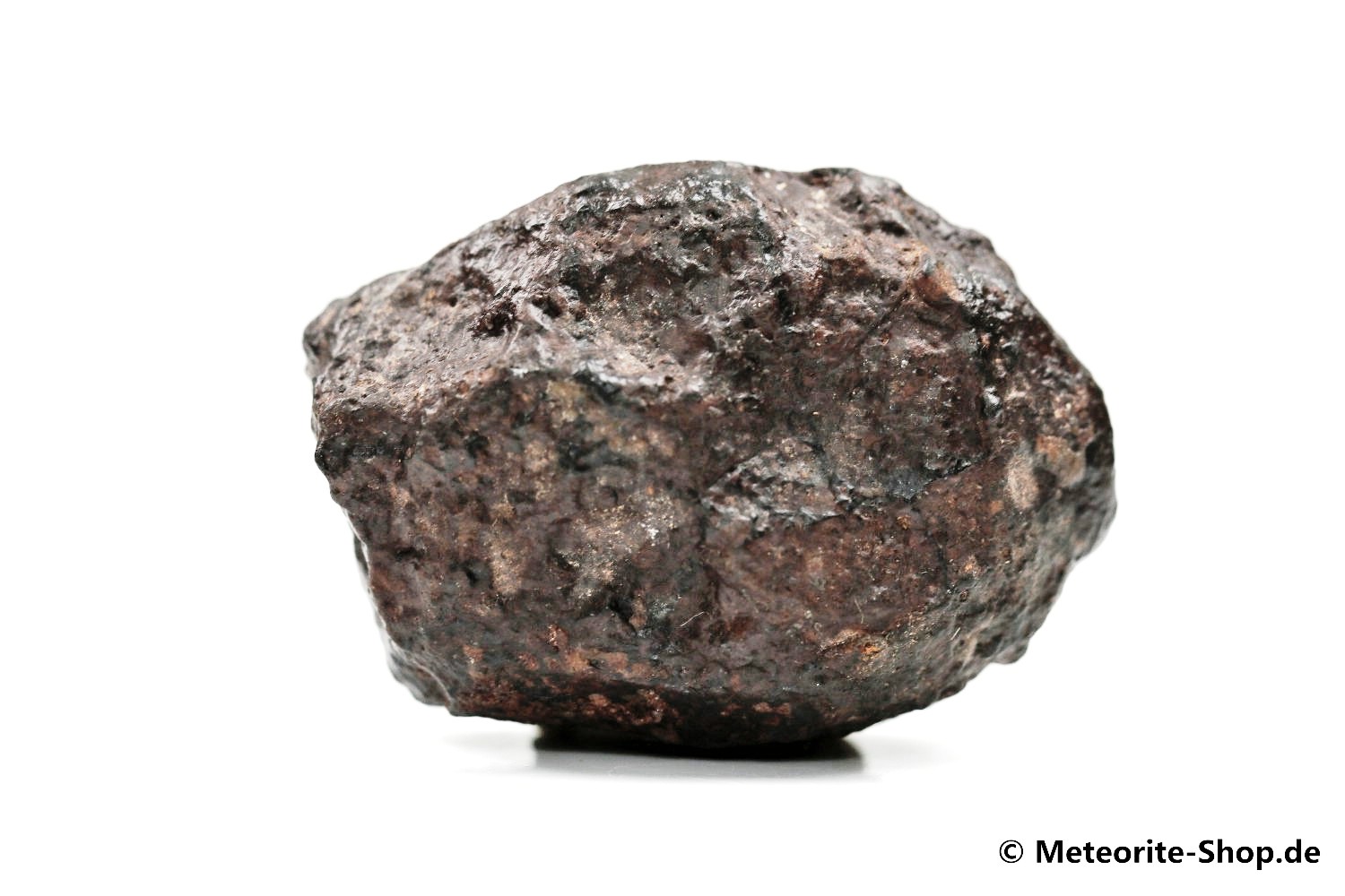 NWA Zagora Meteorit - 35,50 g