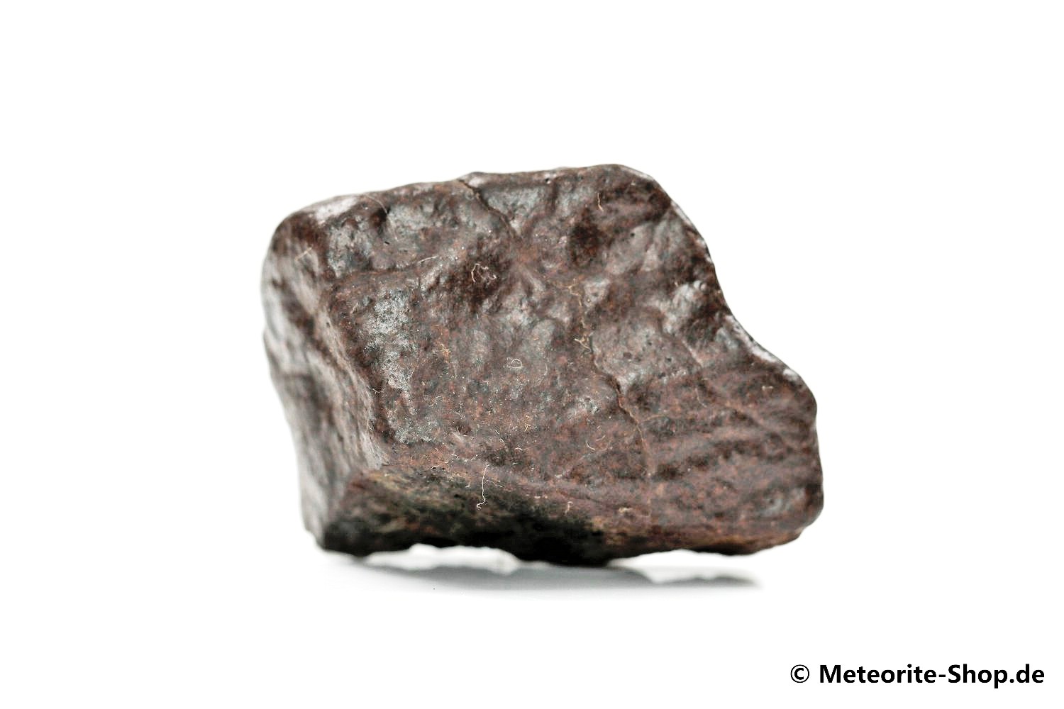 NWA Marokko Meteorit - 18,70 g
