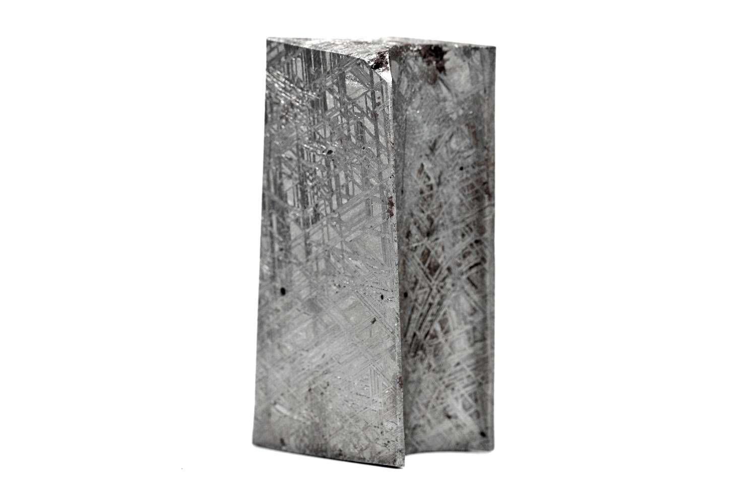 Muonionalusta Meteorit - 238,60 g