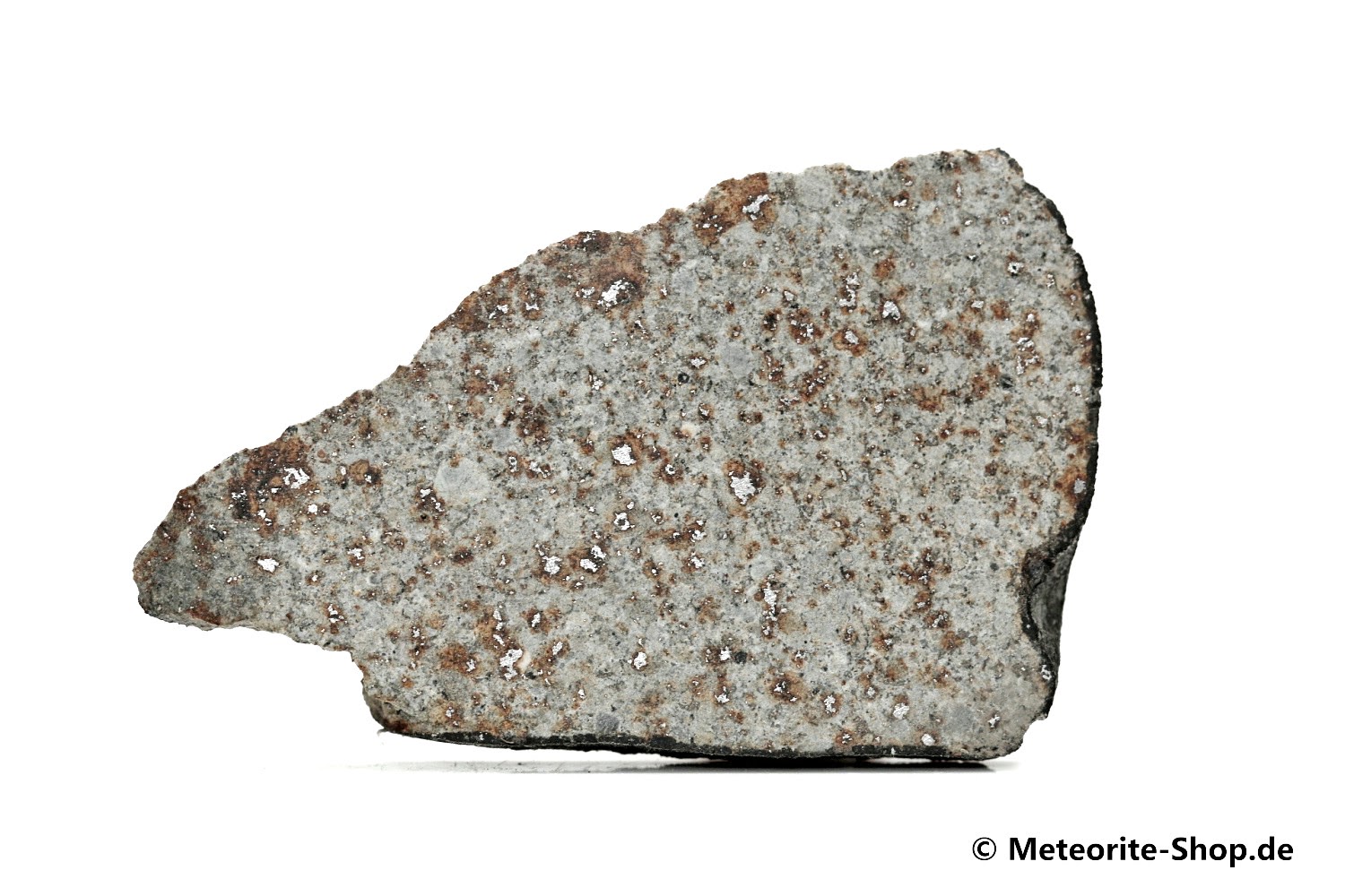 HaH 346 Meteorit GHADAMIS - 9,90 g