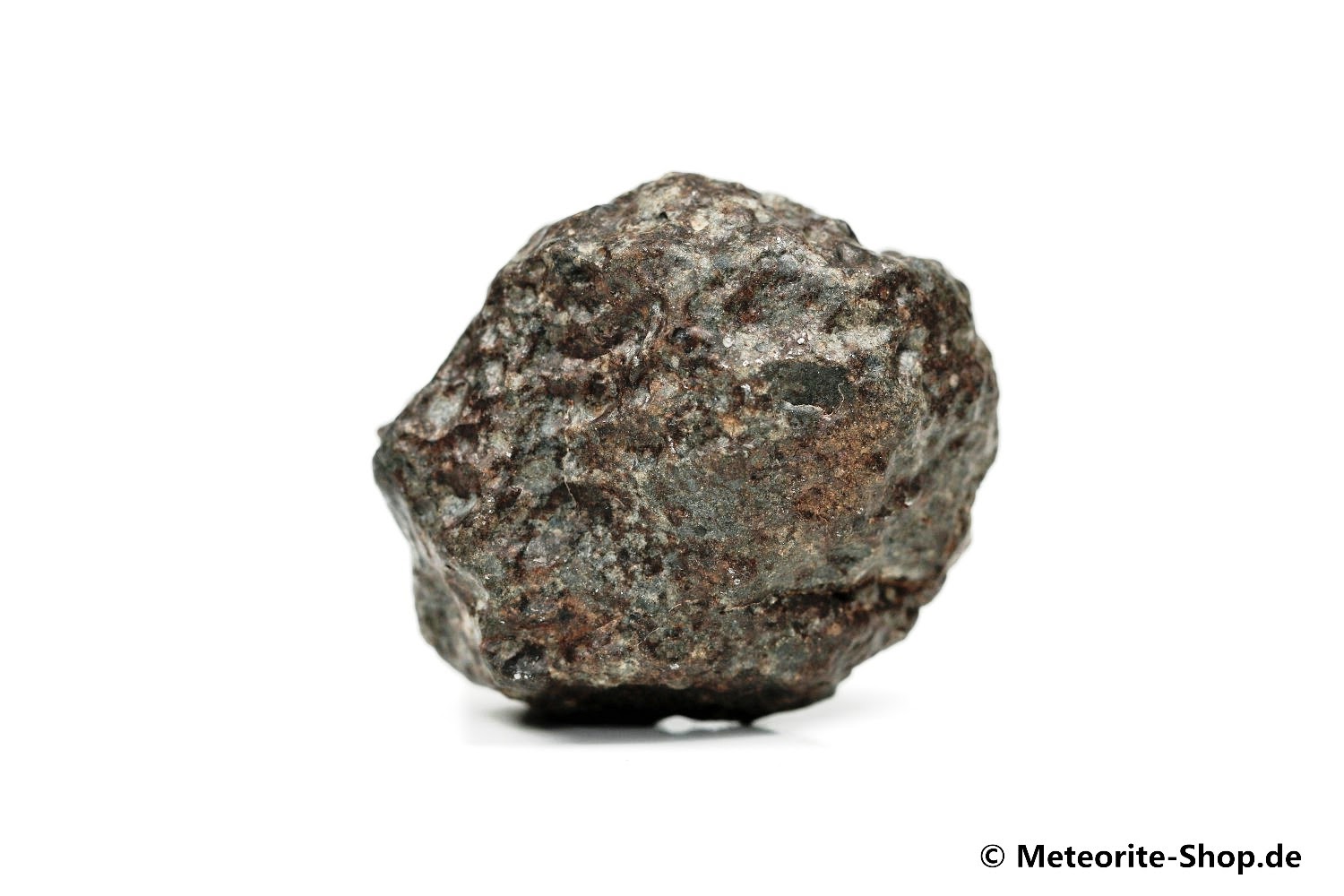 NWA 869 Meteorit - 45,00 g