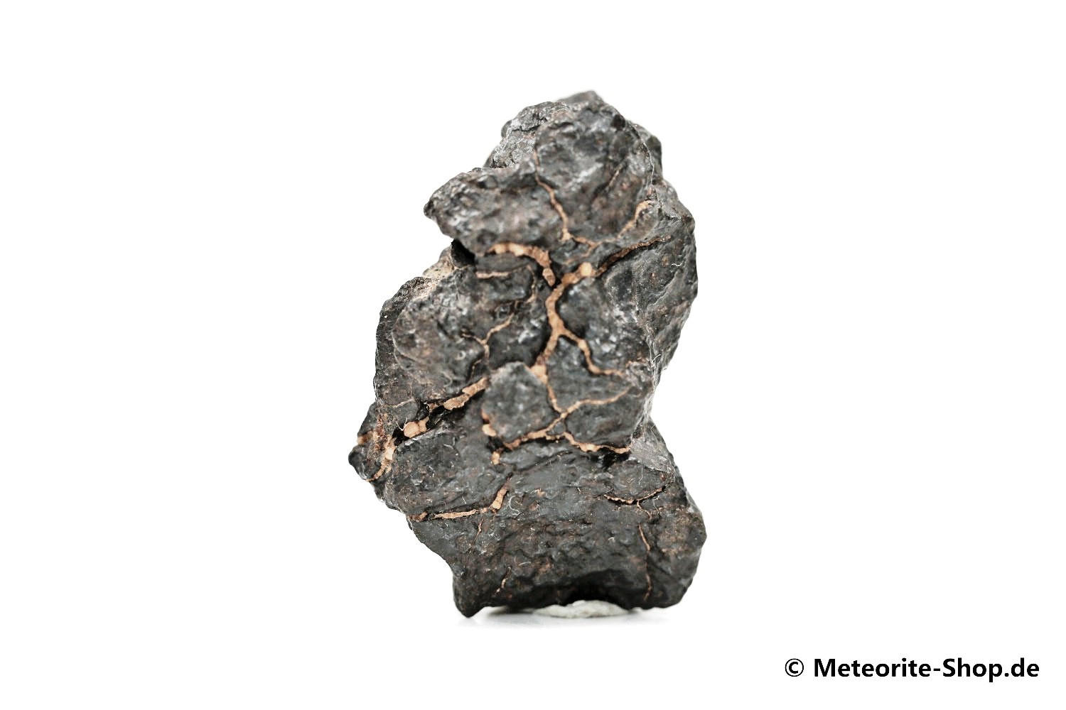 Tiffa 022 Meteorit - 15,60 g