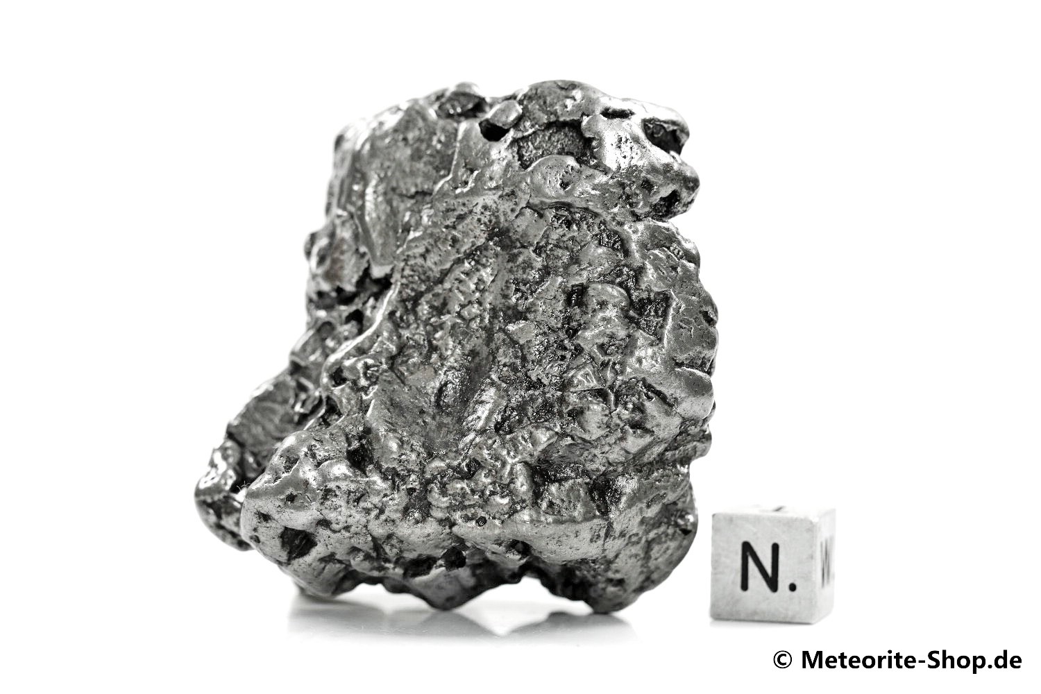 Campo del Cielo Meteorit - 231,60 g