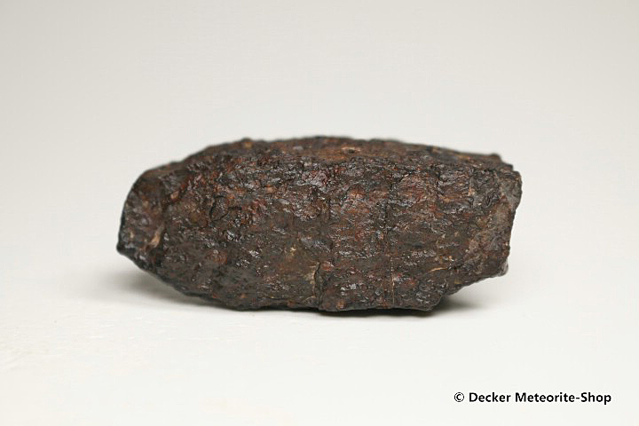 NWA 6368 Meteorit - 51,00 g