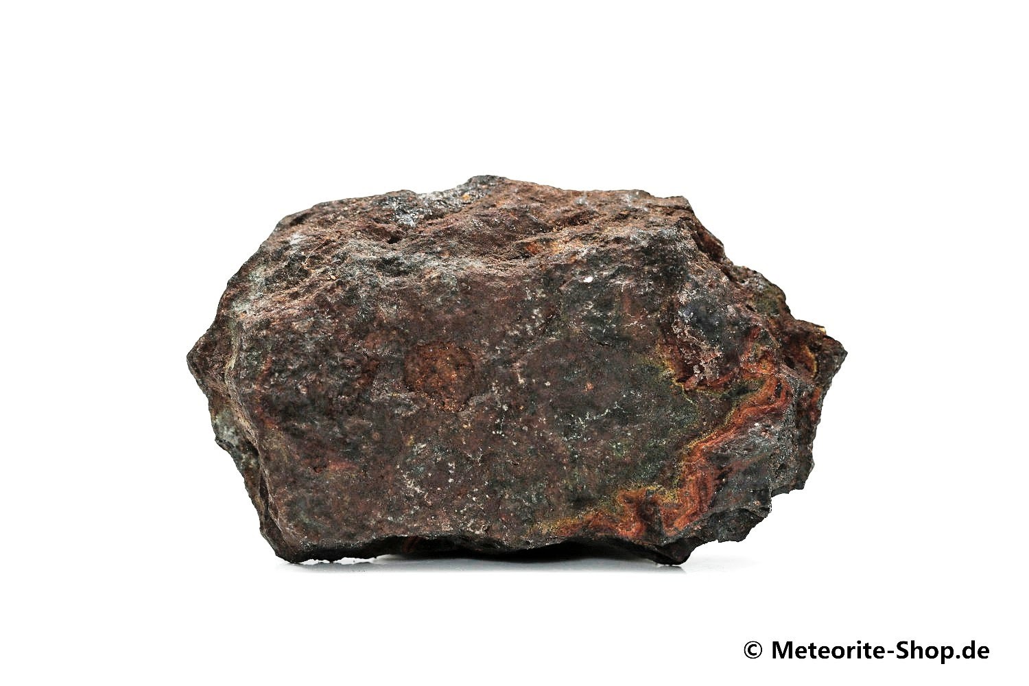Vaca Muerta Meteorit - 12,00 g