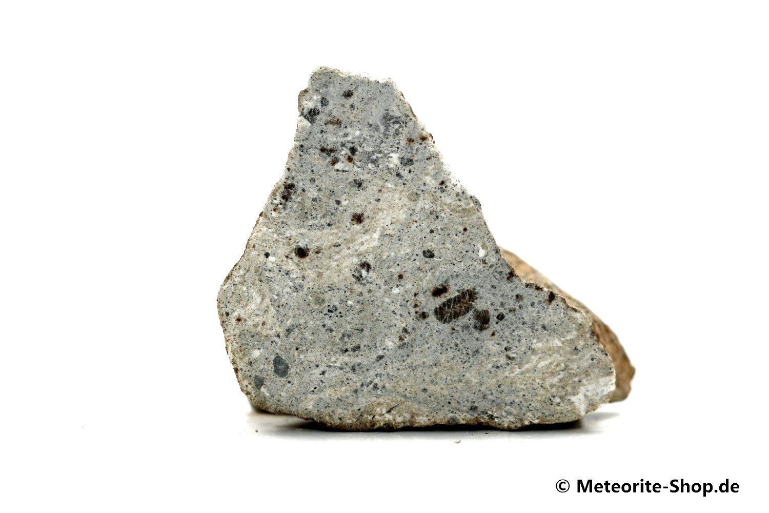Zagora 011 Meteorit - 8,50 g