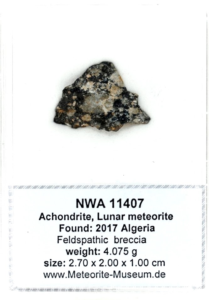 NWA 11407 Mond Meteorit - 4,075 g